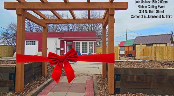 Tiny Homes for the Homeless, an Occupy Madison Project