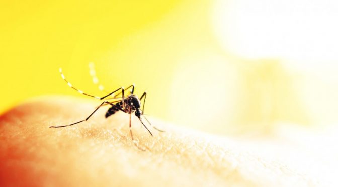Who’s behind the Zika Virus Outbreak & Fearmongering?