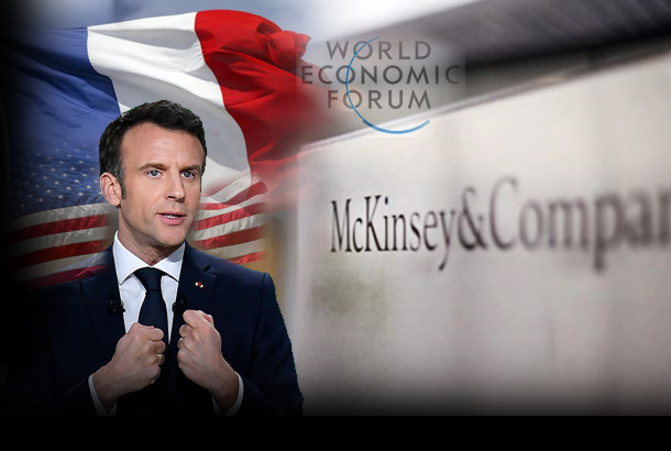 McKinseyGate: France’s Shadow Government & the Rise of the Corporate ...